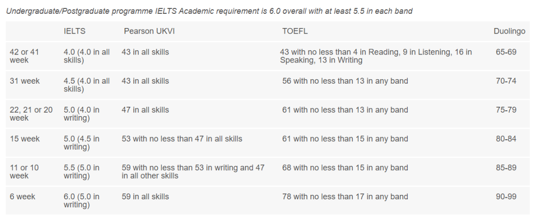 英国大学22fall语言班申请更新（上）：和雅思say bye的机会有