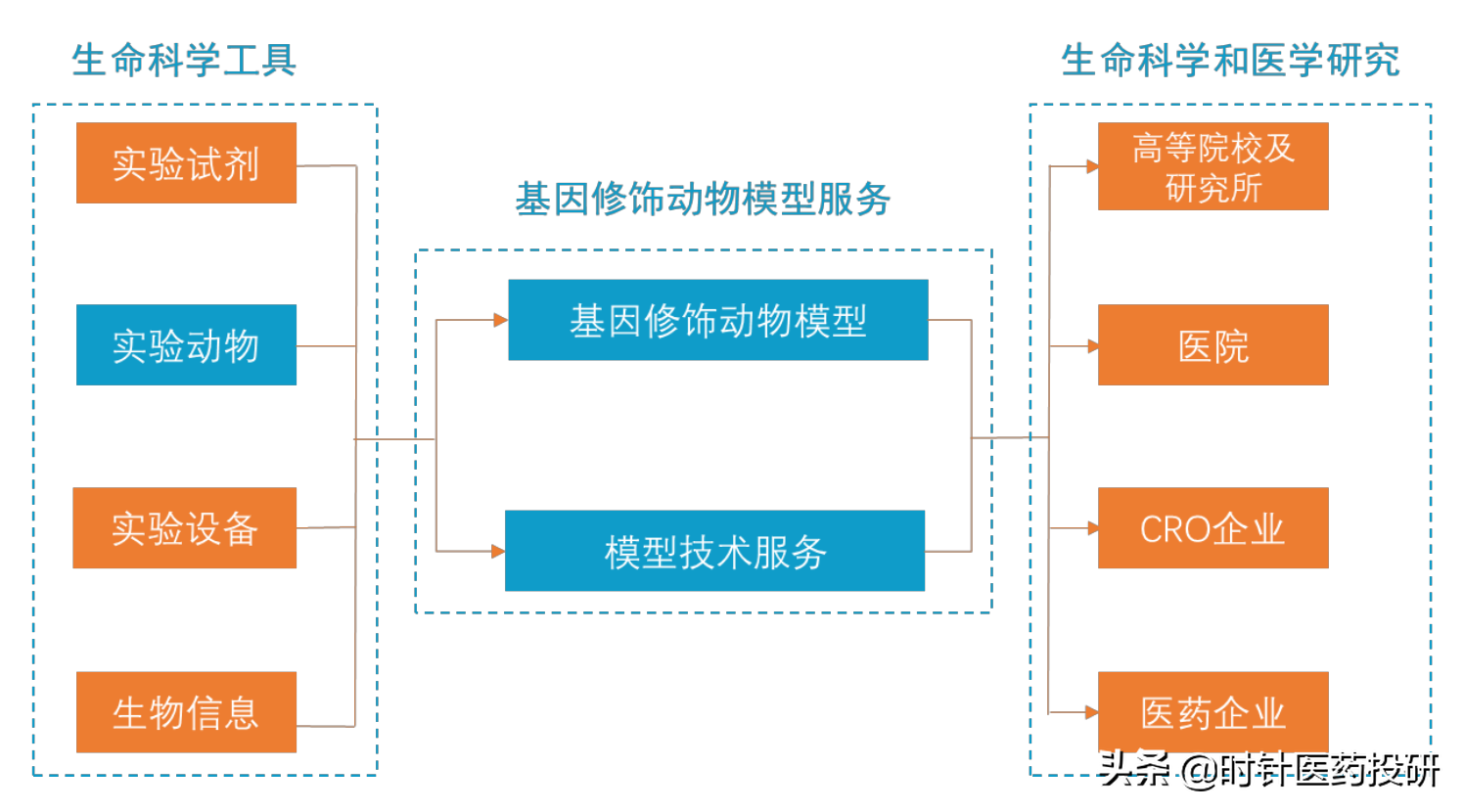 医药新股南模生物价值如何？深度价值分析，值得收藏