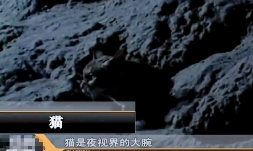 广西10岁男孩拥有蓝色眼球,夜间也活动自如,村民惶恐不安避而远之