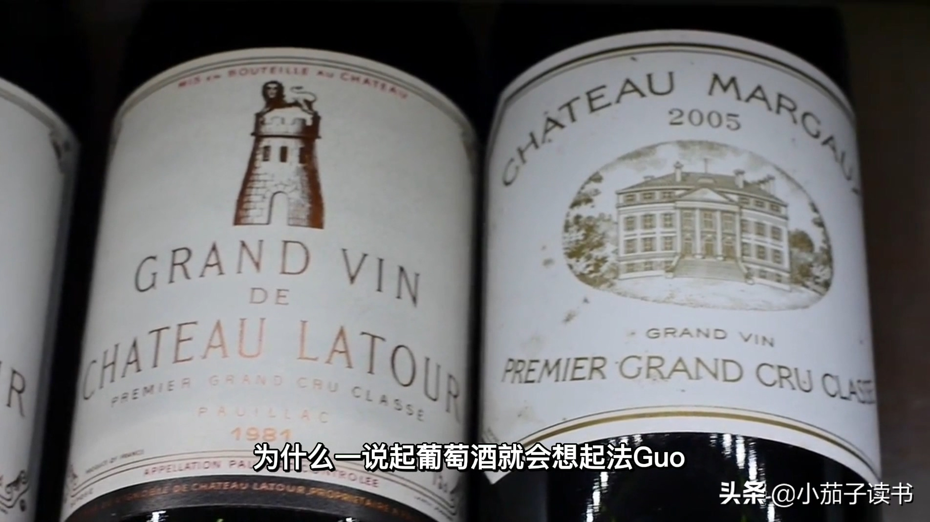 憑什么好葡萄酒，法國造！帶你認識法國葡萄酒
