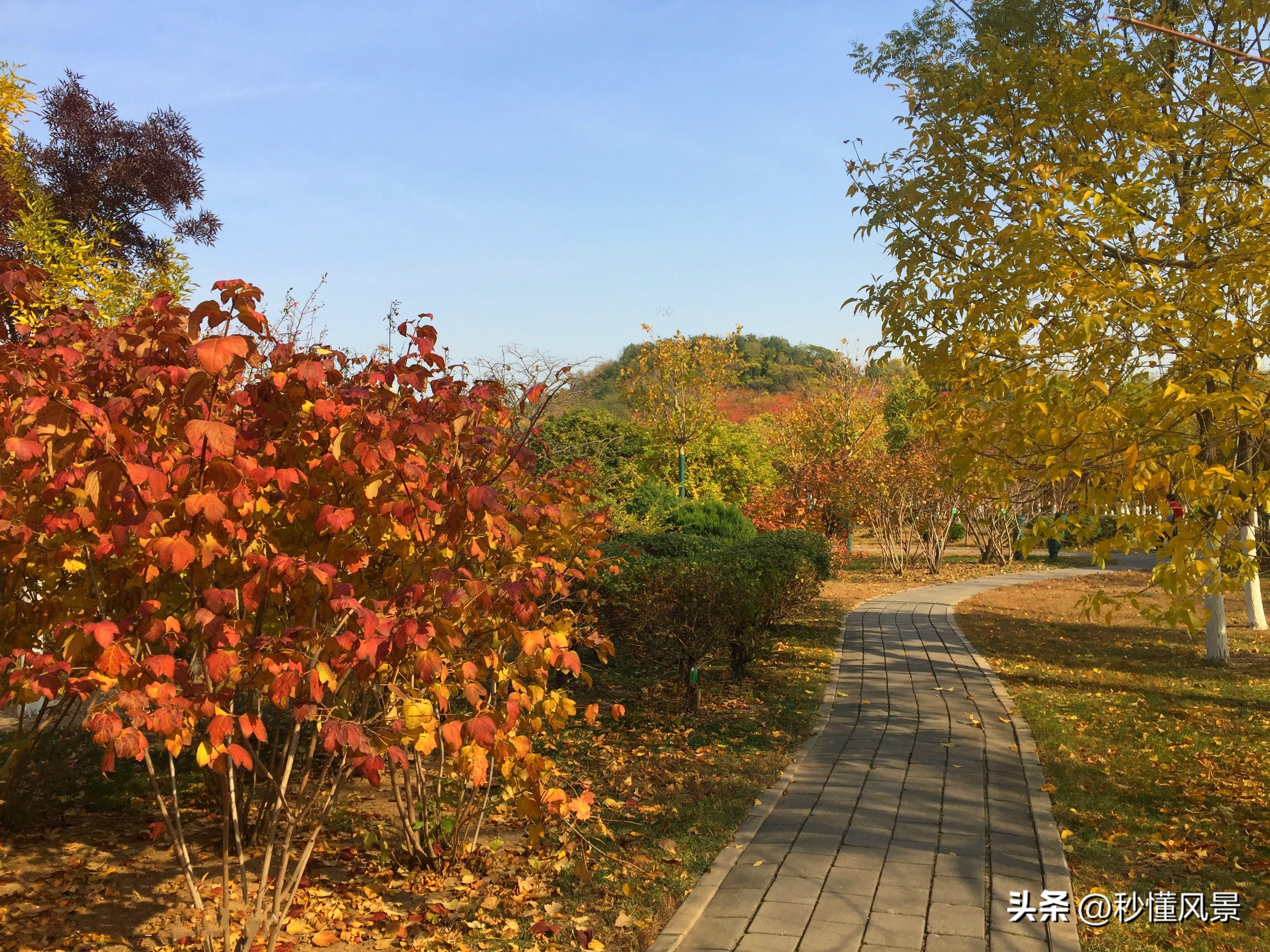 在哪可看天津(天津市区最高峰，山上已经秋意渐浓，不要门票适合溜娃拍照赏秋)