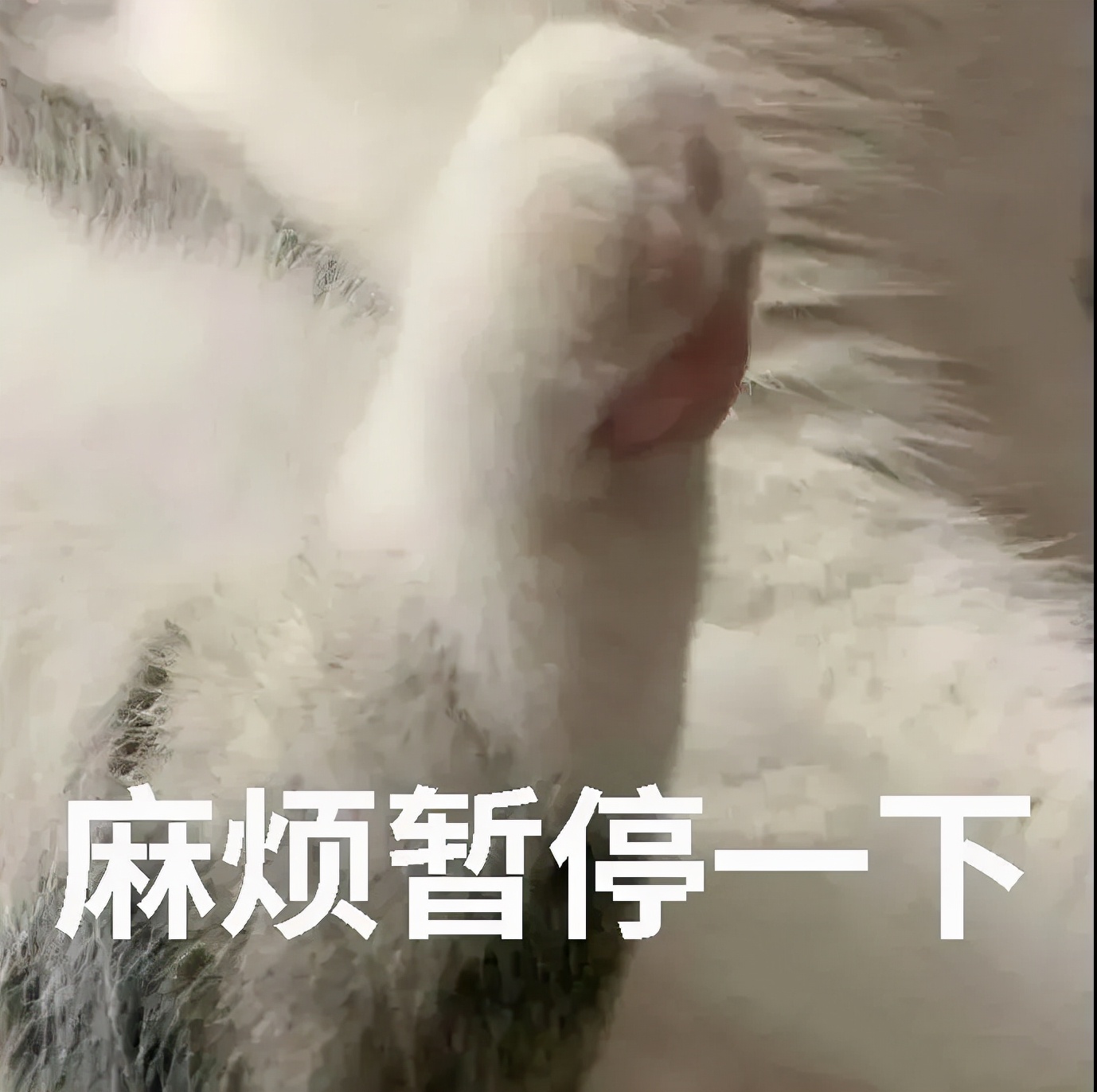 经常泡脚可以养生？身体会发生什么变化？泡脚的正确方式是这个