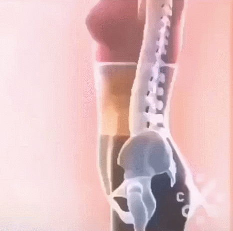 肚子大？这6个原因你应该知道！该如何减肥，都给你列出来了