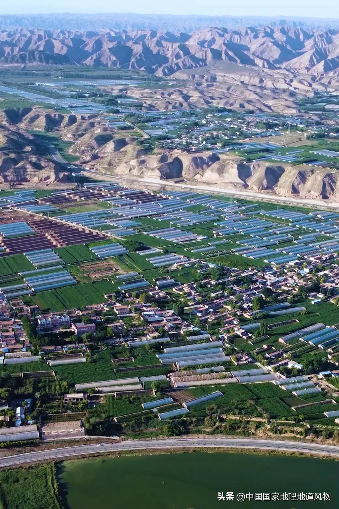 �й���͵����߲˴�ʡ��Ϊʲô�Ǹ��ࣿ