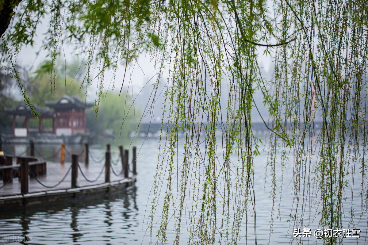 ​唯美春节古诗三首：春还春节美，春日春风过，春情处处多