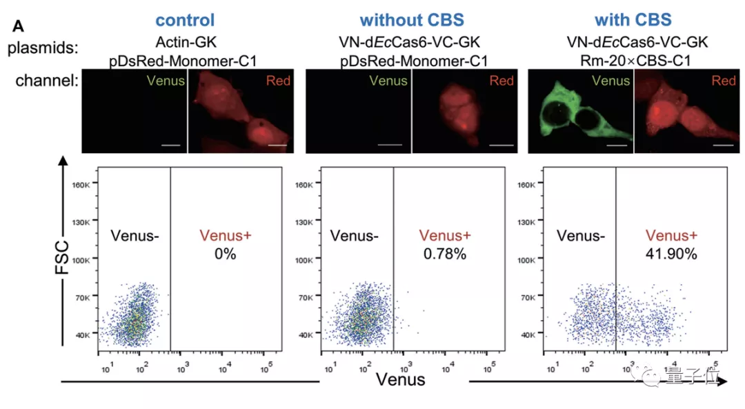 韩春雨，时隔六年再发高分论文