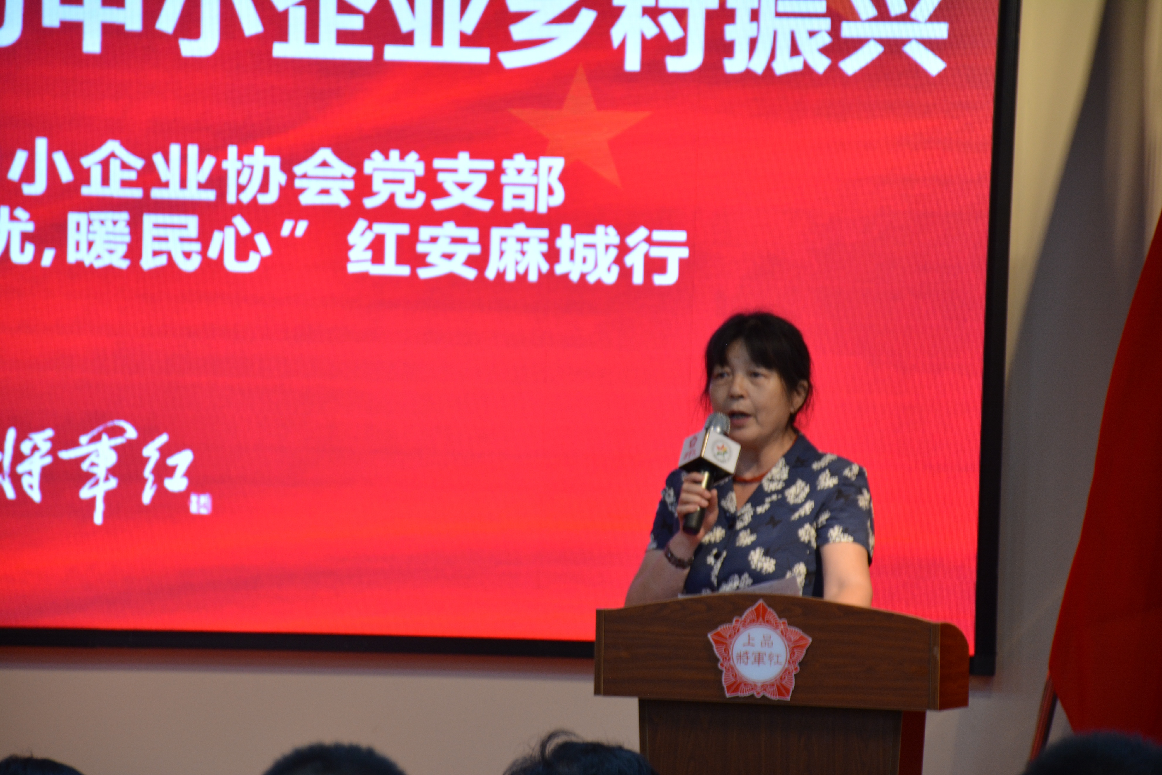 湖北省中小企业协会党支部“察民情解民忧暖民心”红安麻城行活动