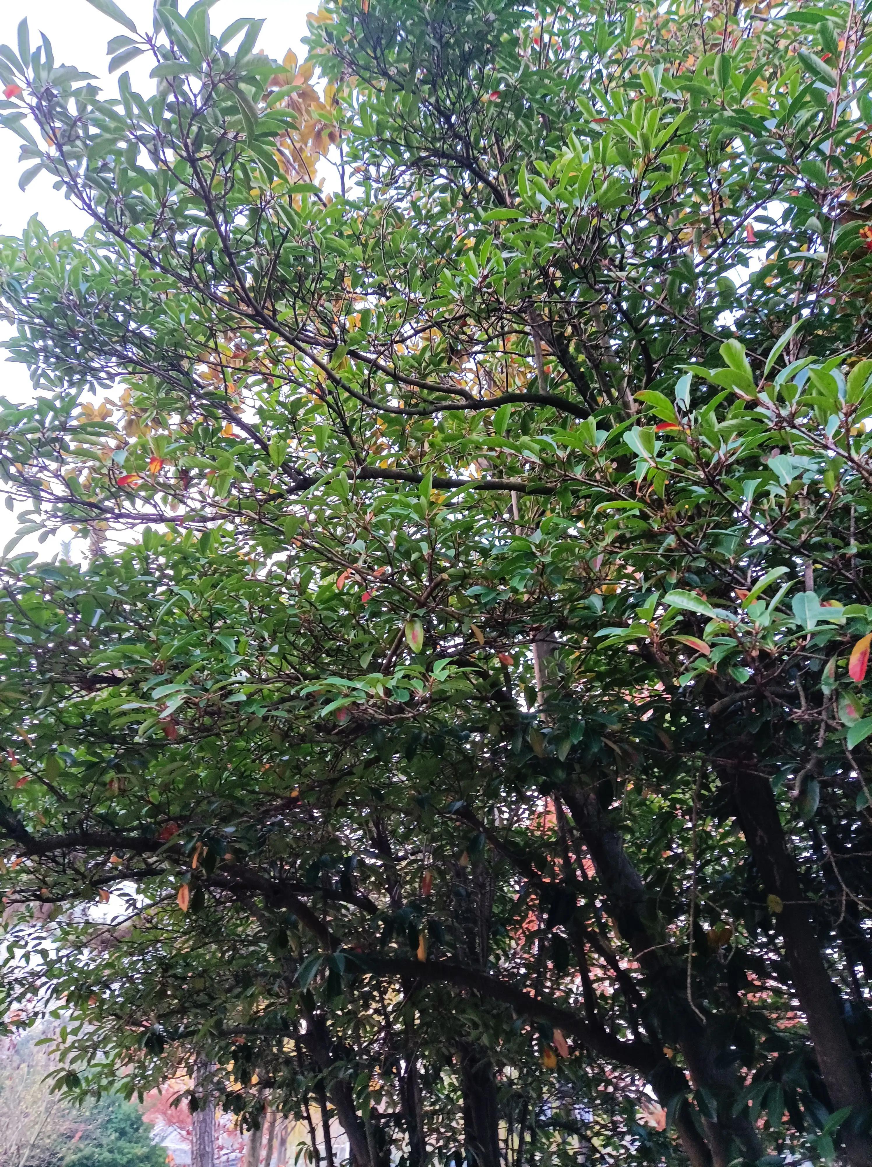 美年大健康與每年體檢