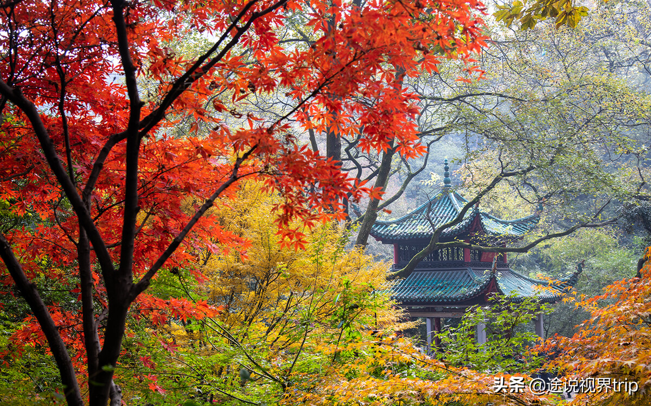 盘点湖南最美的十大景点，张家界凤凰古城上榜，你去过哪几个？