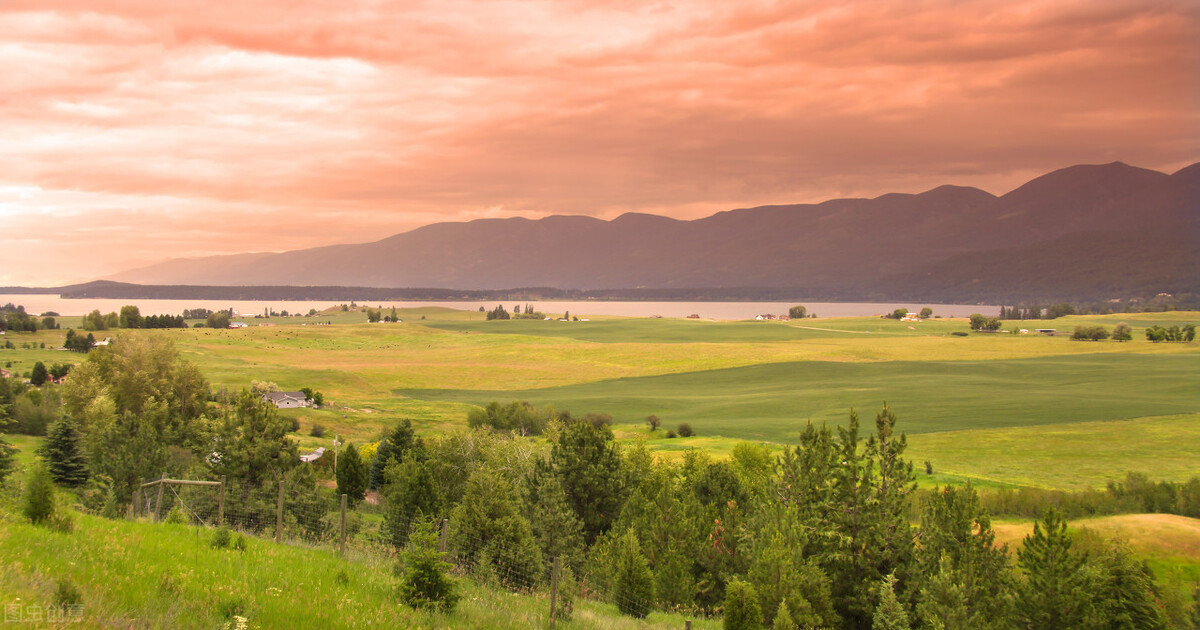 高三学生书面表达中的词汇错误例析及应对策略