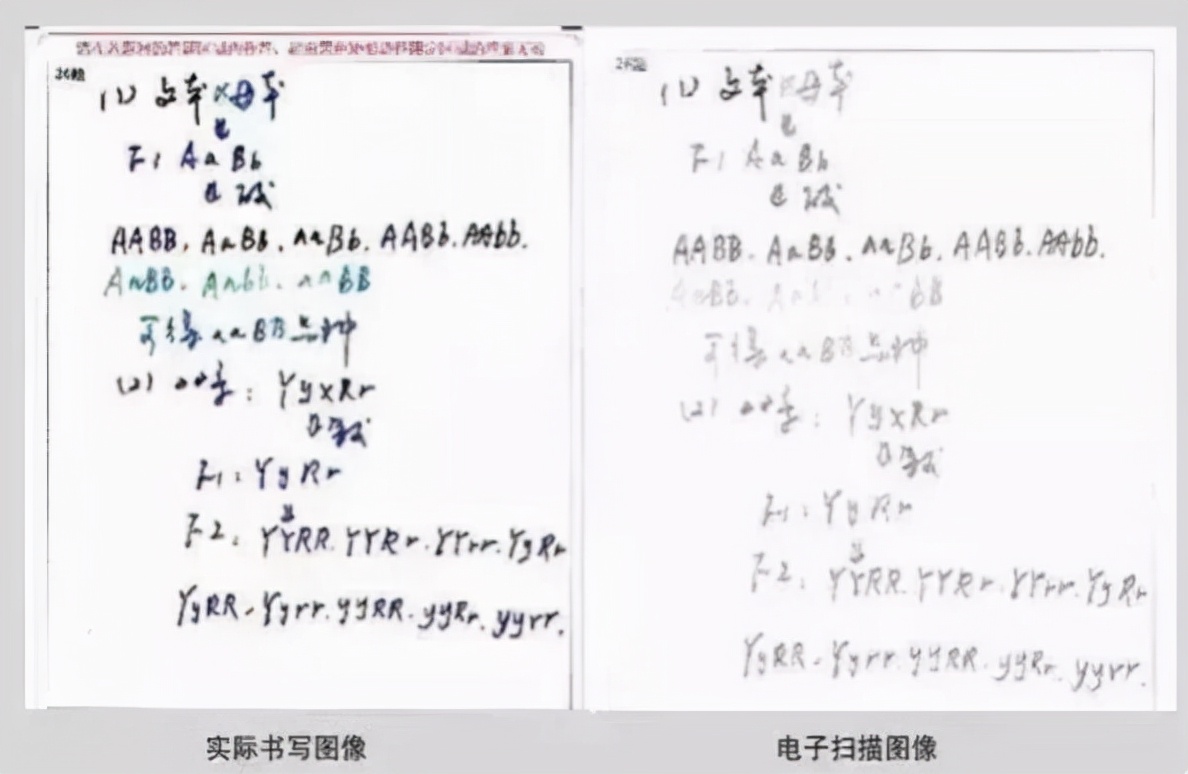 高考电子阅卷“潜规则”，答案类似分数却不一样，2022考生要规避