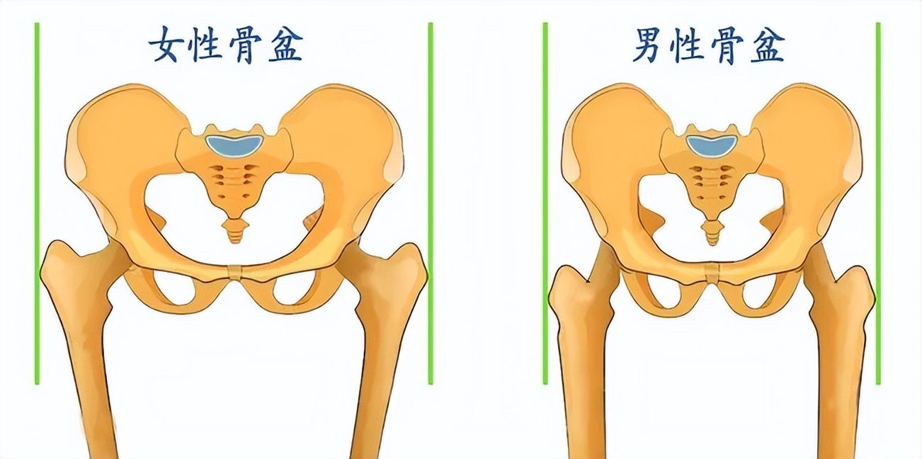 王鸥又有新瓜！与相声演员何九华同框，网友：这是男神收割机啊