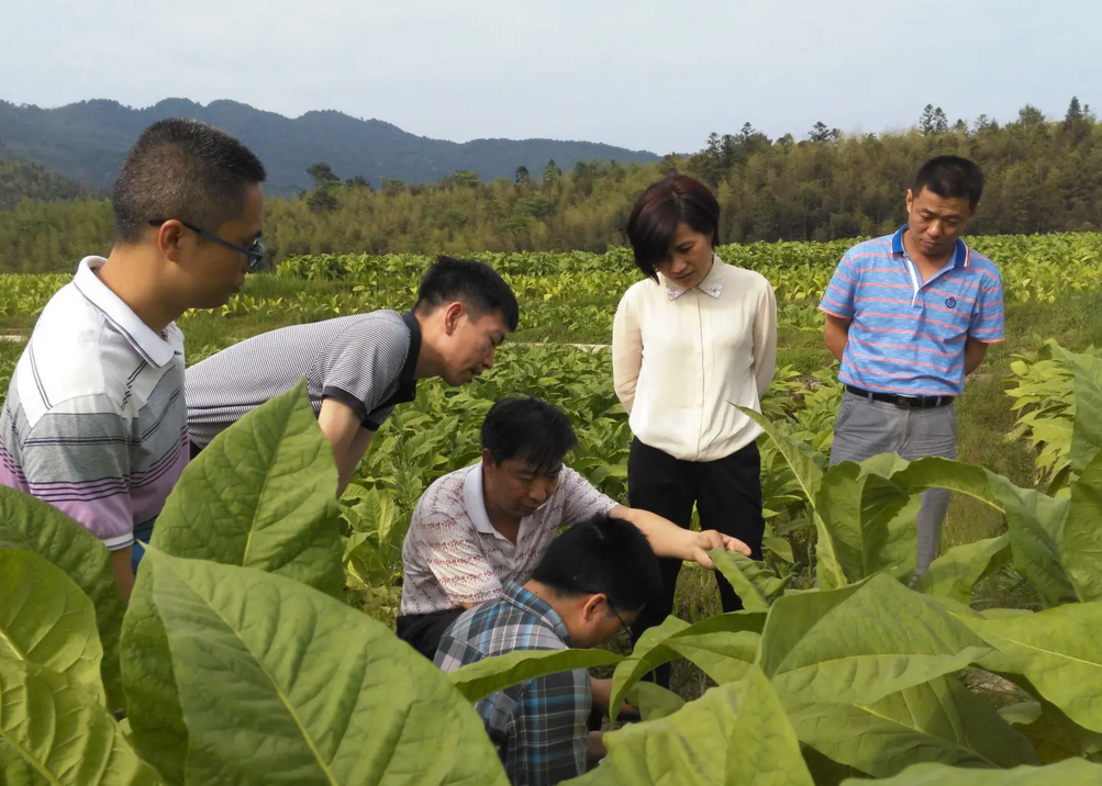 这4所大学厉害了！被称为中国烟草的“娘家”，分数线并不是很高