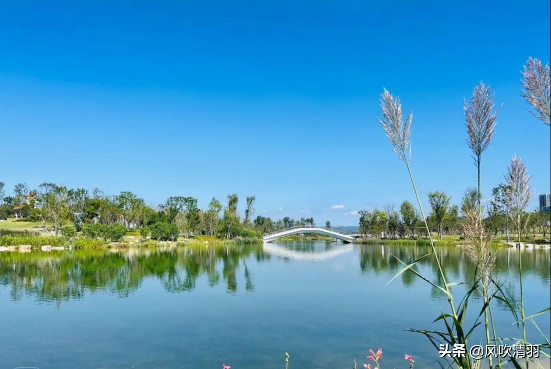 成都排名前5的公园，最小也有1800亩，西边和北边没上榜一个