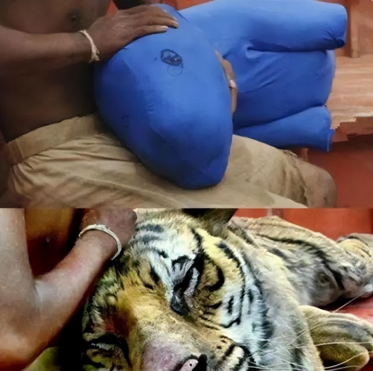 经典剧集的“边角料”，八戒骑摩托、妃子玩手机，谢谢，有被笑到