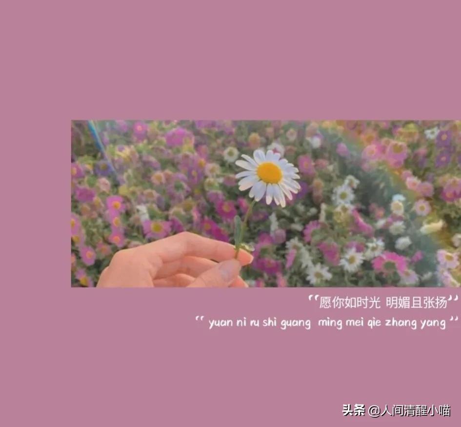 上了大学才明白的一些道理