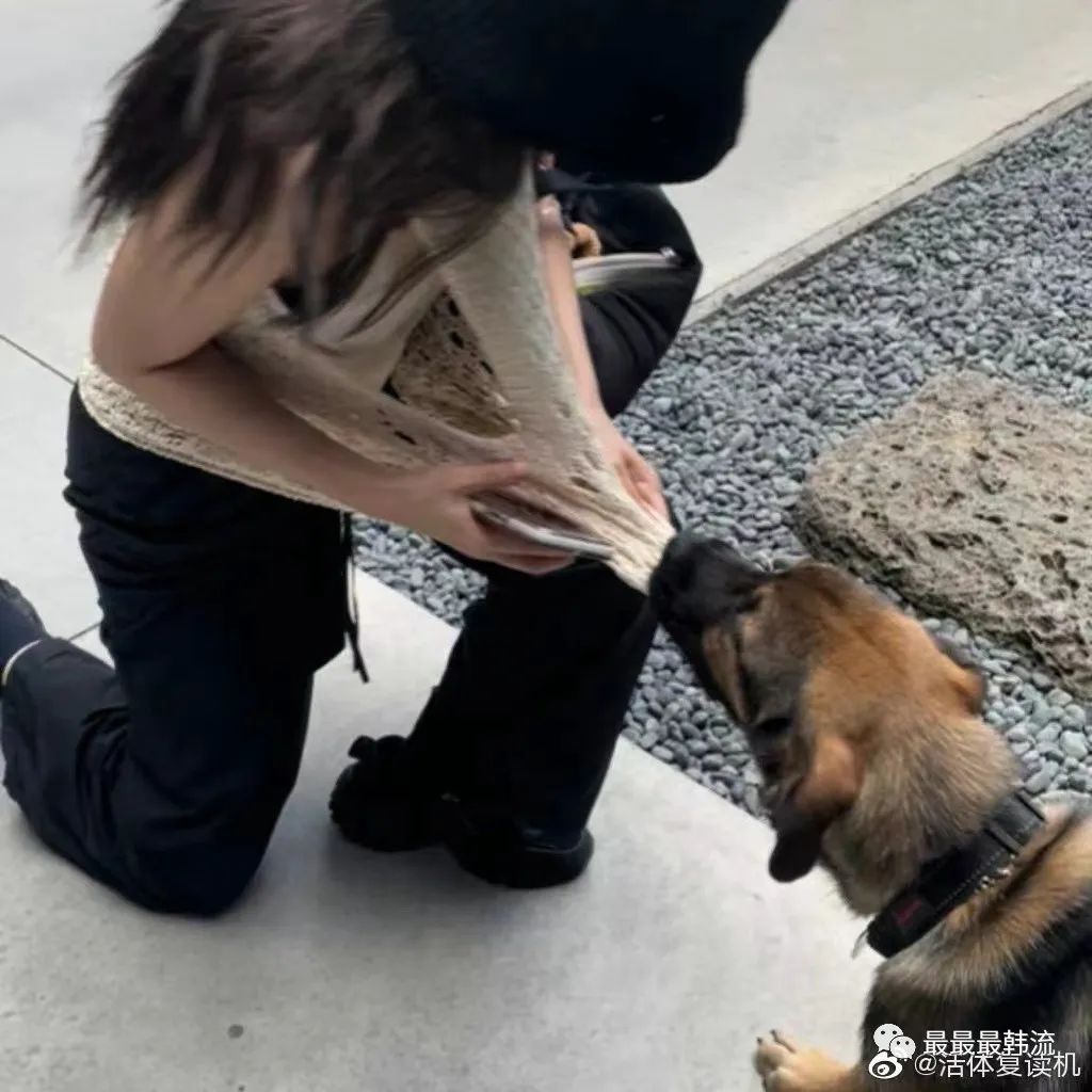 她没惹到任何人