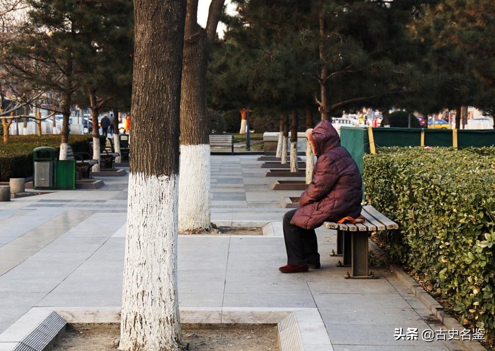 上海老阿姨活着被送殡仪馆，事件细节披露，揭开世间最残酷的真相