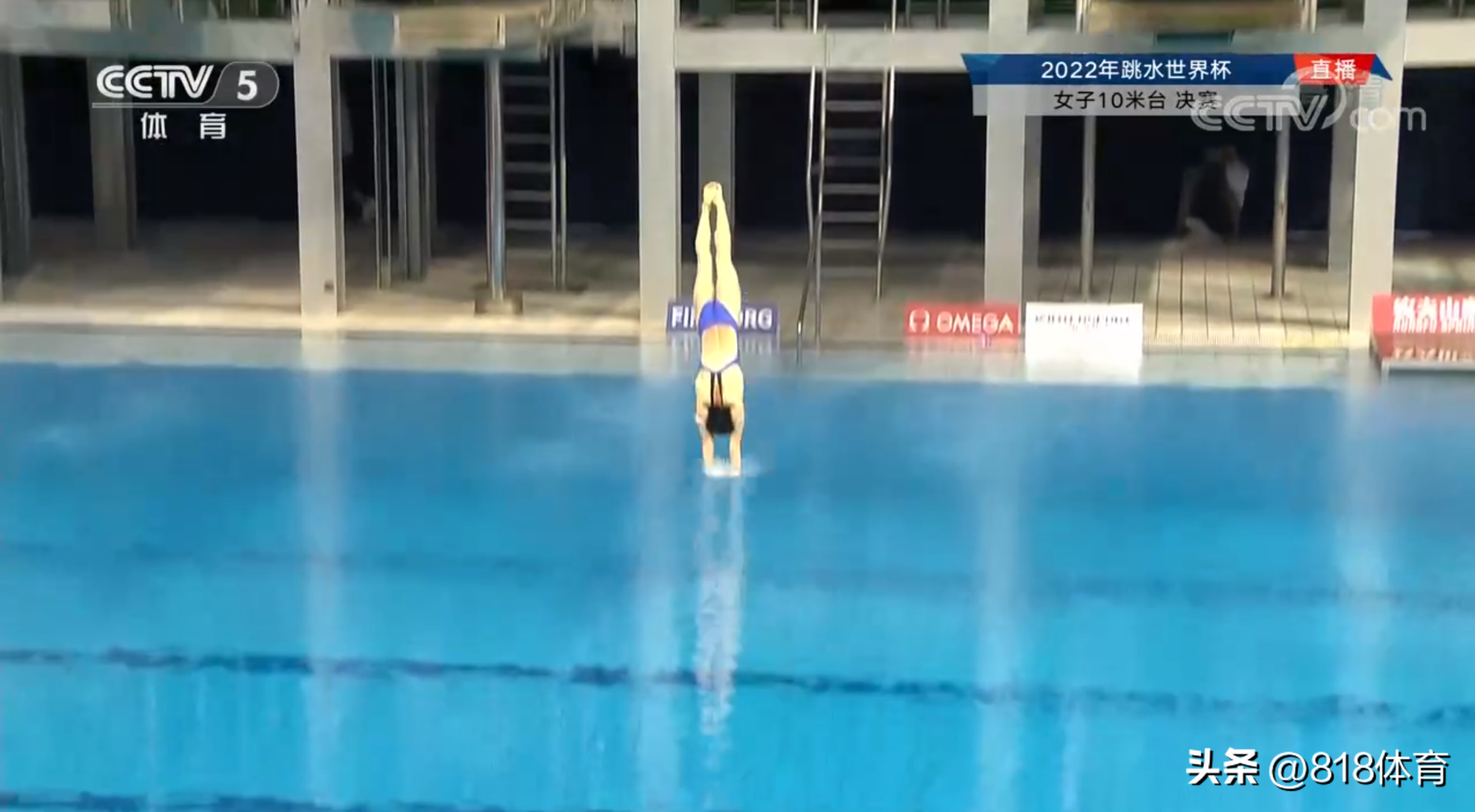 世界杯最强双冠王（全红婵输了!陈芋汐领先19分世界杯夺双冠王,各拿5个10分神仙打架）