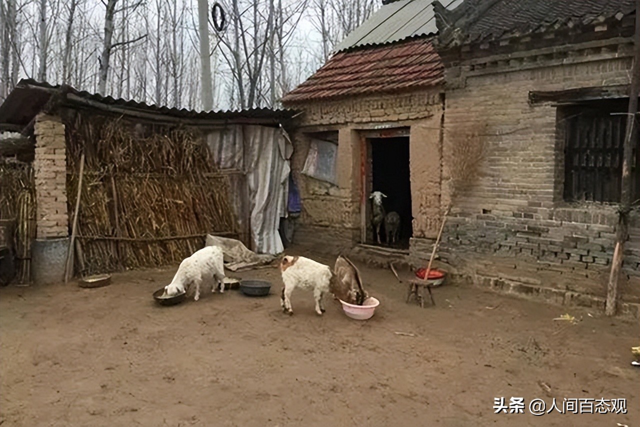 案例：一个女大学生的悲惨命运