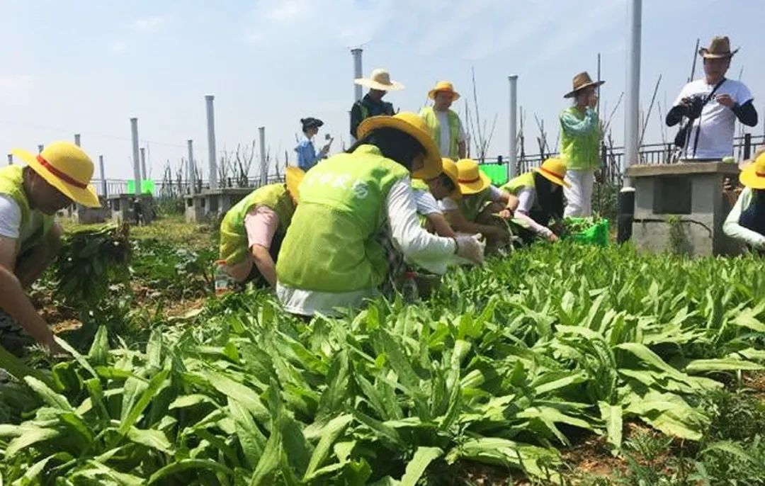 美国承认中国4所大学是哪四所(这所神秘大学，常年在美国制裁名单上，撑起中国军工的半壁江山)