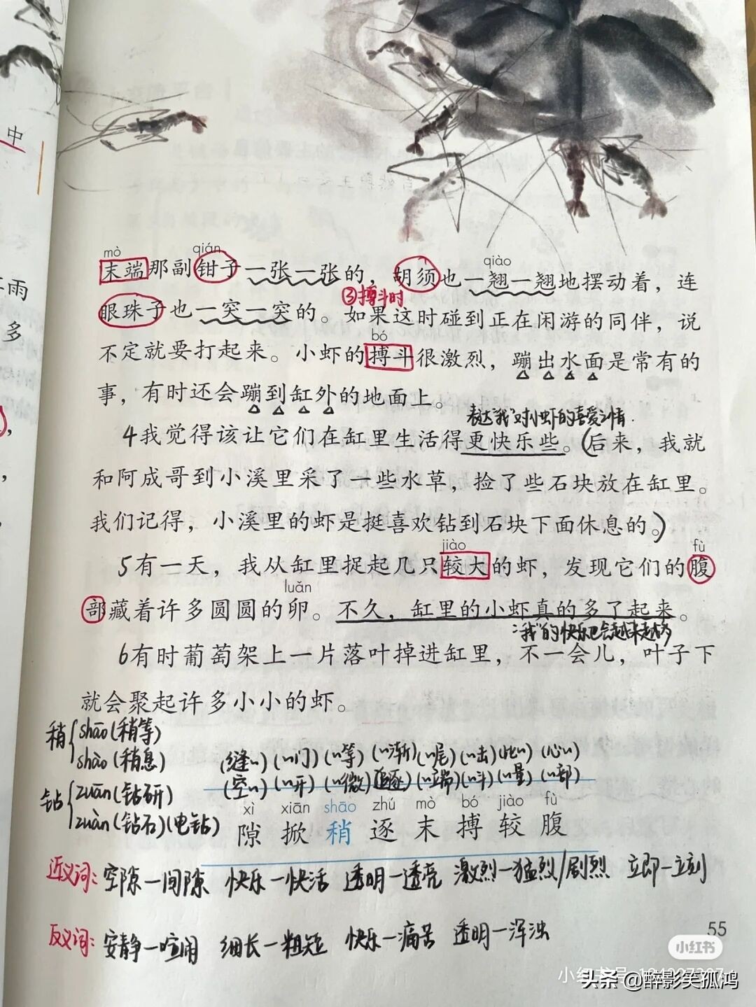 三年级语文下册第4单元课堂笔记，详细整理课文知识点