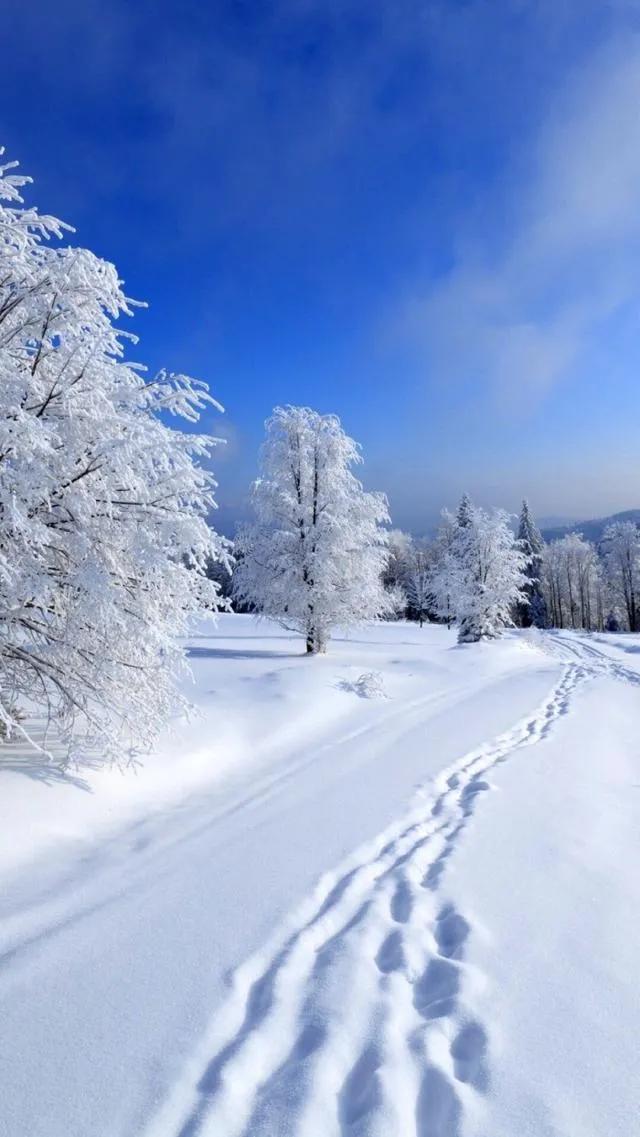 冬天雪景图片大全意境图片