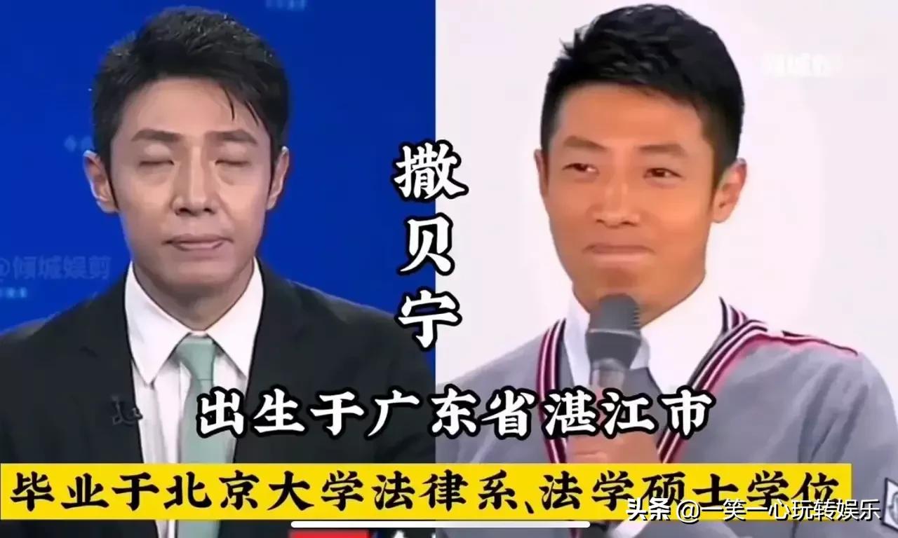 央视主持人高学历对比，学历和努力都非常重要，董卿当之无愧第一