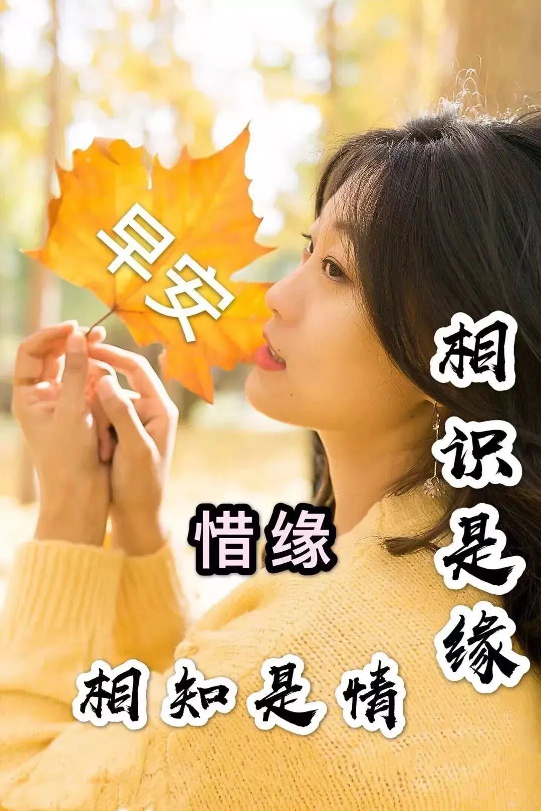 几张早安2022最新图片  创意早上好问候短句正能量图片