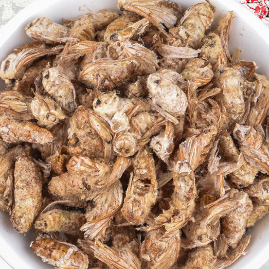 炒僵蚕的功效与作用 炒僵蚕的好处 - 盾灵网