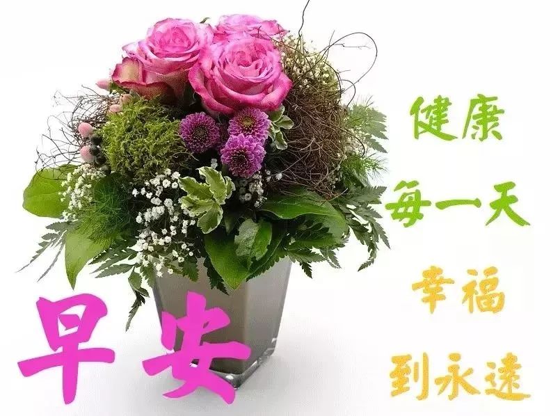 亲爱的老婆早上好图片 早上好问候语图片动态图带字图片