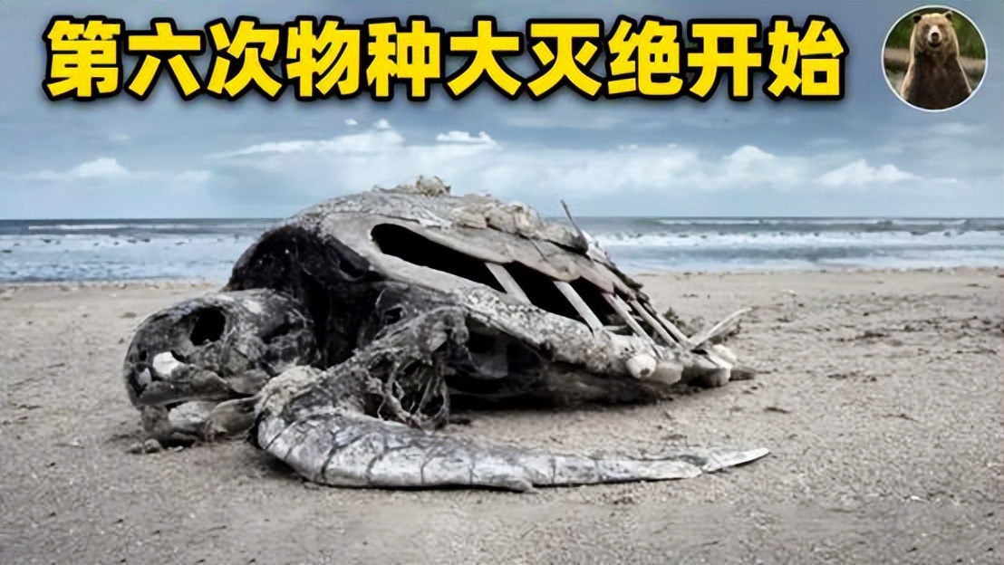 数万名专家的联合声明:人类正处于第六次大灭绝