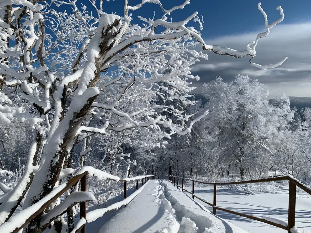 登高眺远景秘境身心愉冬日，来一场任性的雪山游