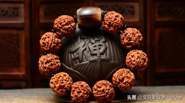 跟随伊zei，带你认识金刚菩提