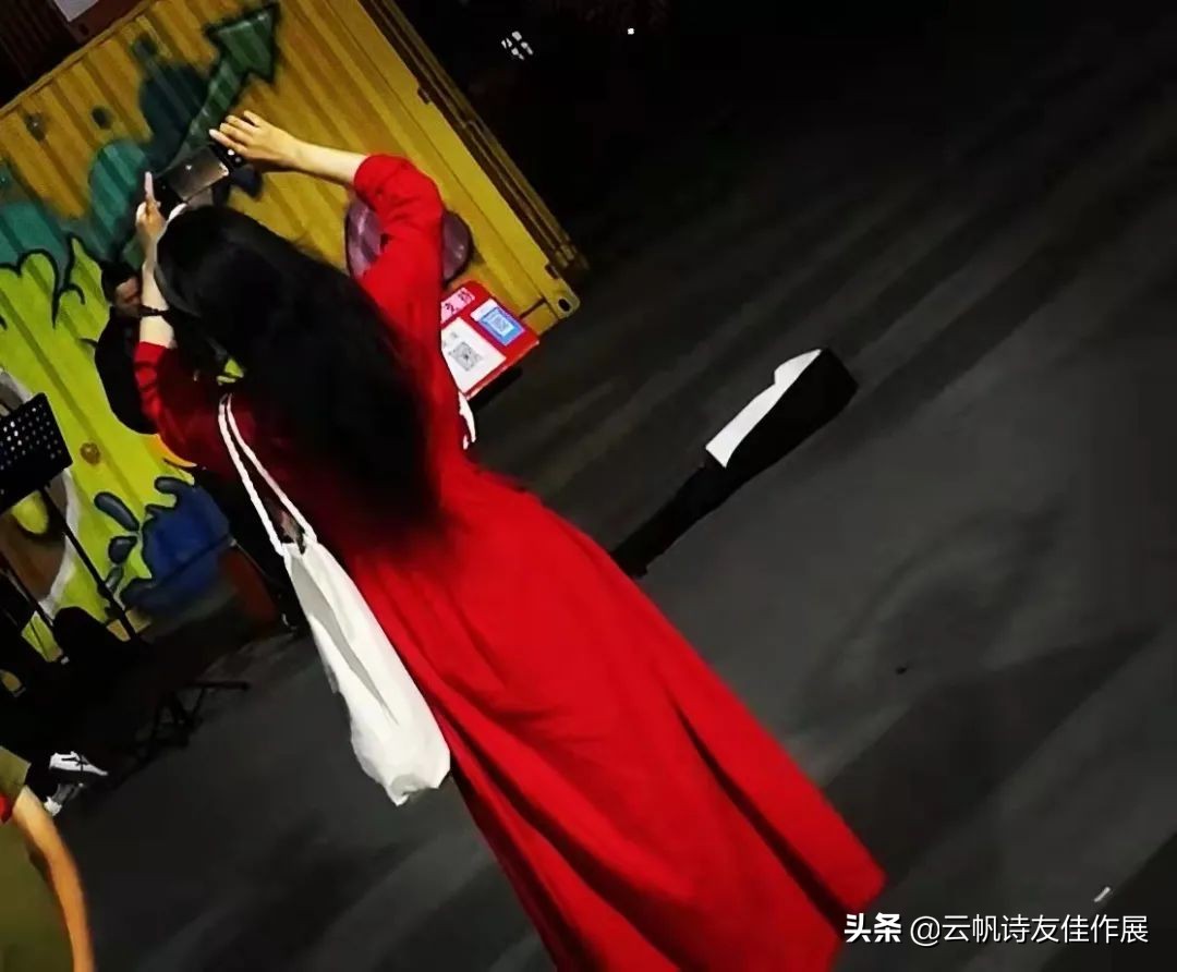 「特别推荐」林丫头：《侧身集》辛丑存稿