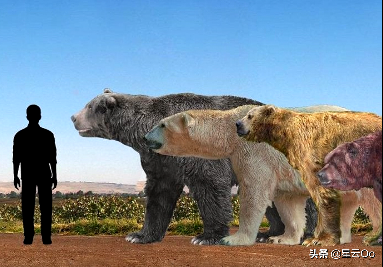 世界十大猛兽实力排名(曾称霸地球的10种巨兽,极其凶残,复活任何一种