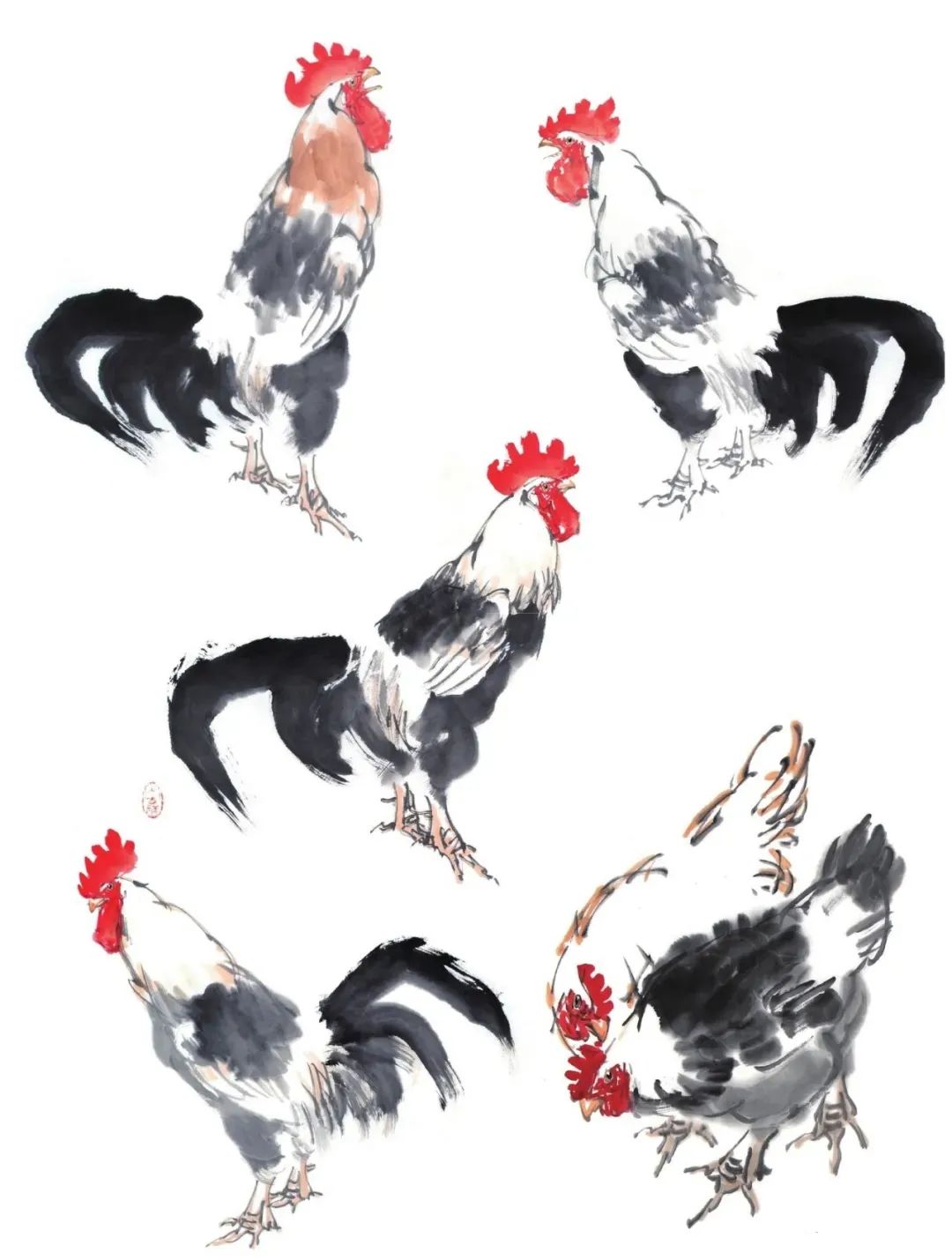 图文教程——写意鸡画法入门