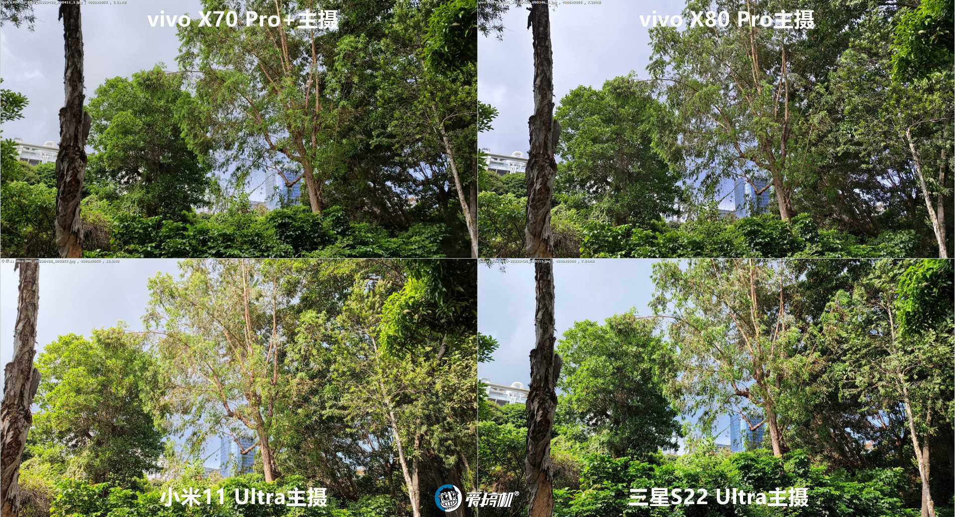 旗舰拍照PK：vivo X80Pro对X70Pro+、三星S22Ultra、小米11Ultra