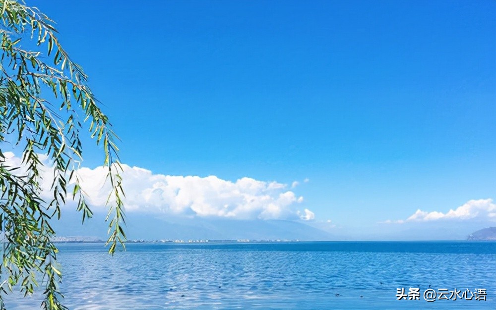 描写河水荡漾的优美句子_晶羽文学网