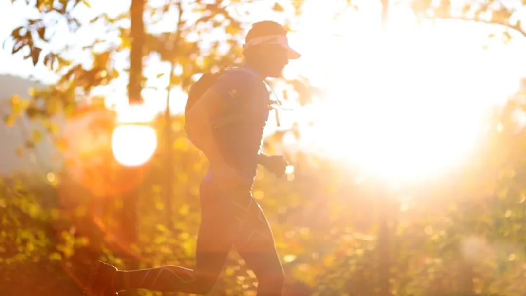 30句青春诗词，每一句都适合当座右铭，最适合今天发朋友圈