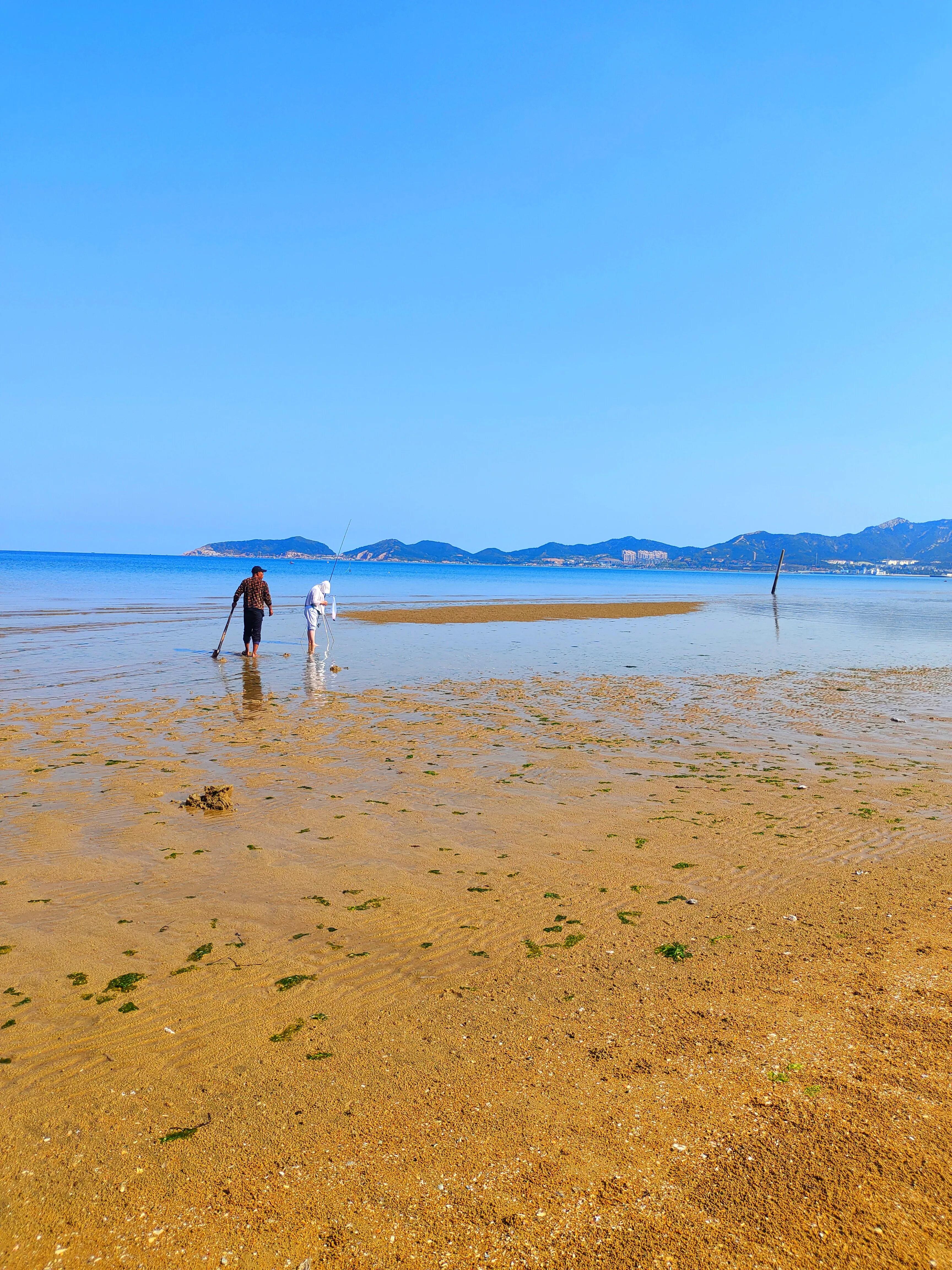 水天一色间，问一声那海鸥