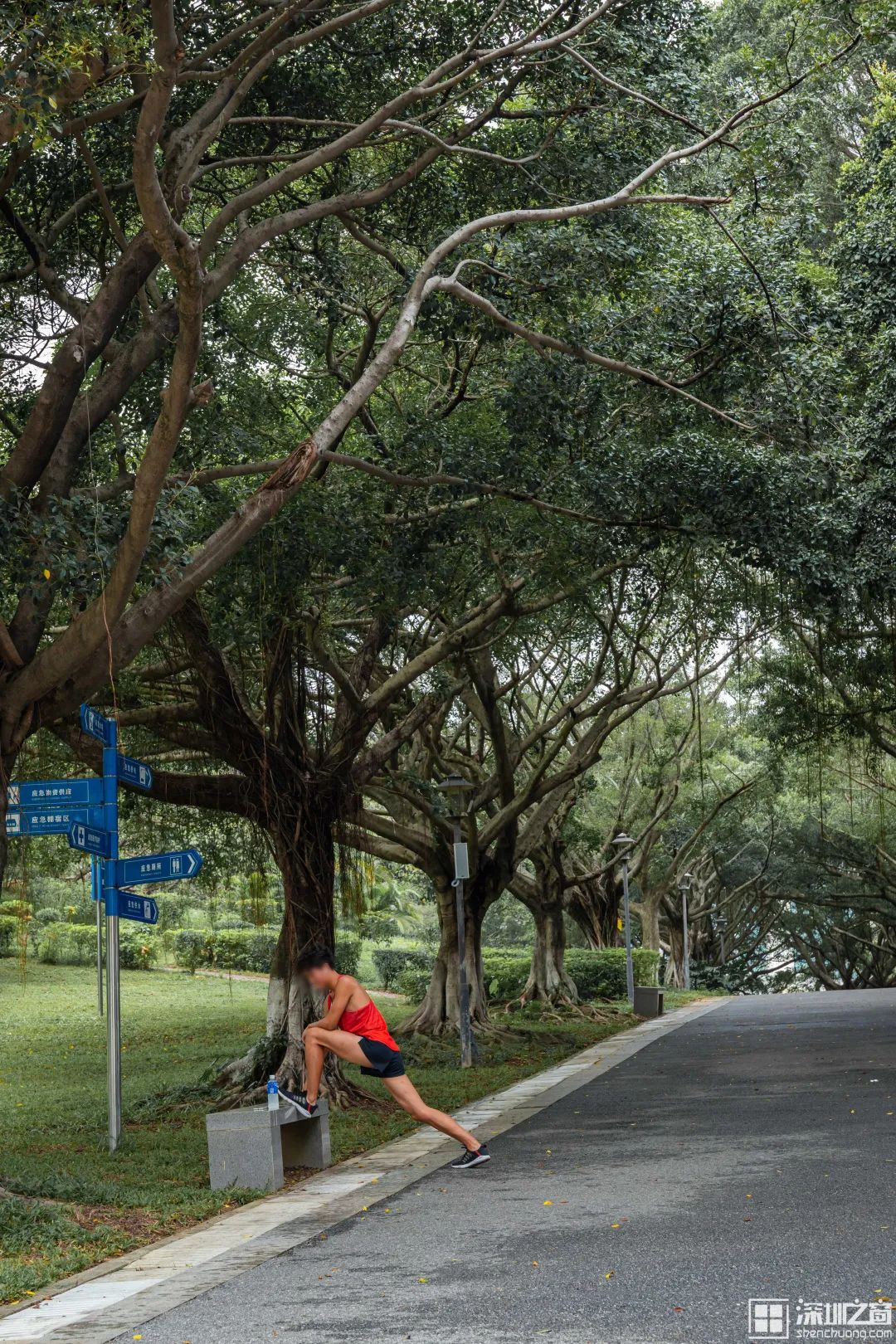 深圳马拉松（深圳资深全马跑者：跑步没有意义，为跑而跑）