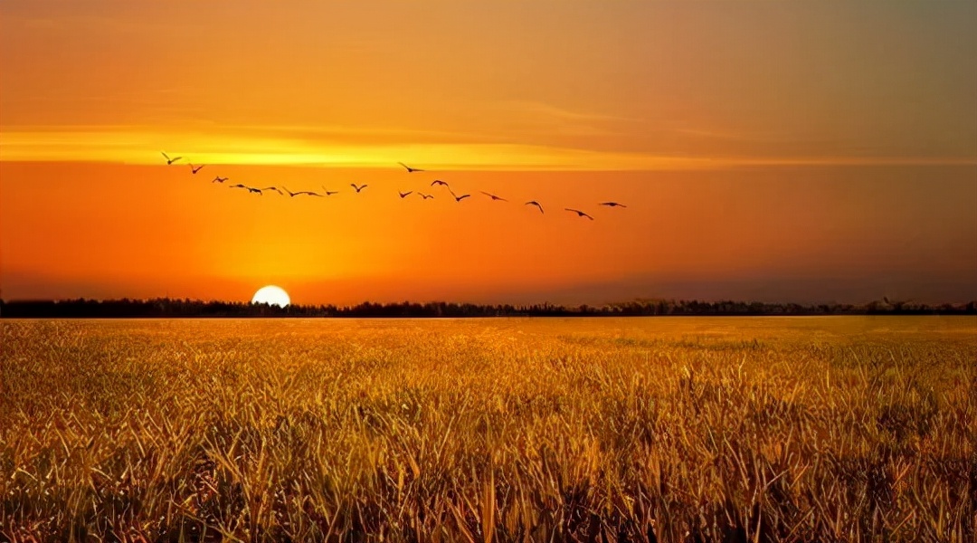 高考的背后是一次人性的考验