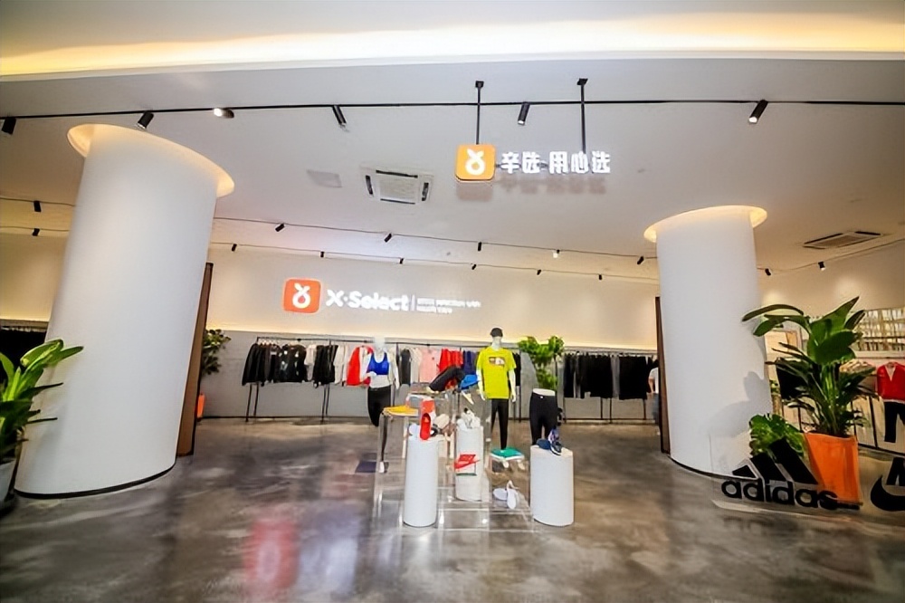 辛巴为直播电商行业发展提供支撑，启晟汇：以启晟之力积极助学