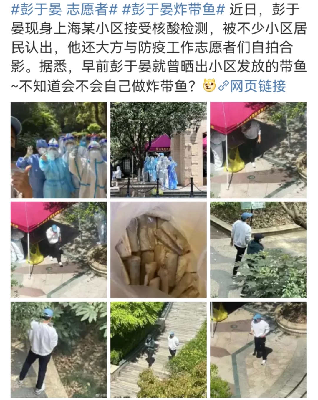 上海疫情持续！上海籍艺人带头抗疫，百名明星响应，各地先后支援