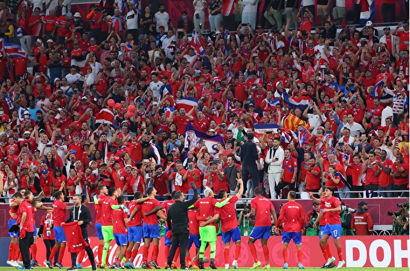 世界杯球迷为什么那么多（卡塔尔世界杯上的万众球迷狂欢景象的背后是什么？让谁走眼了？）-华海博客