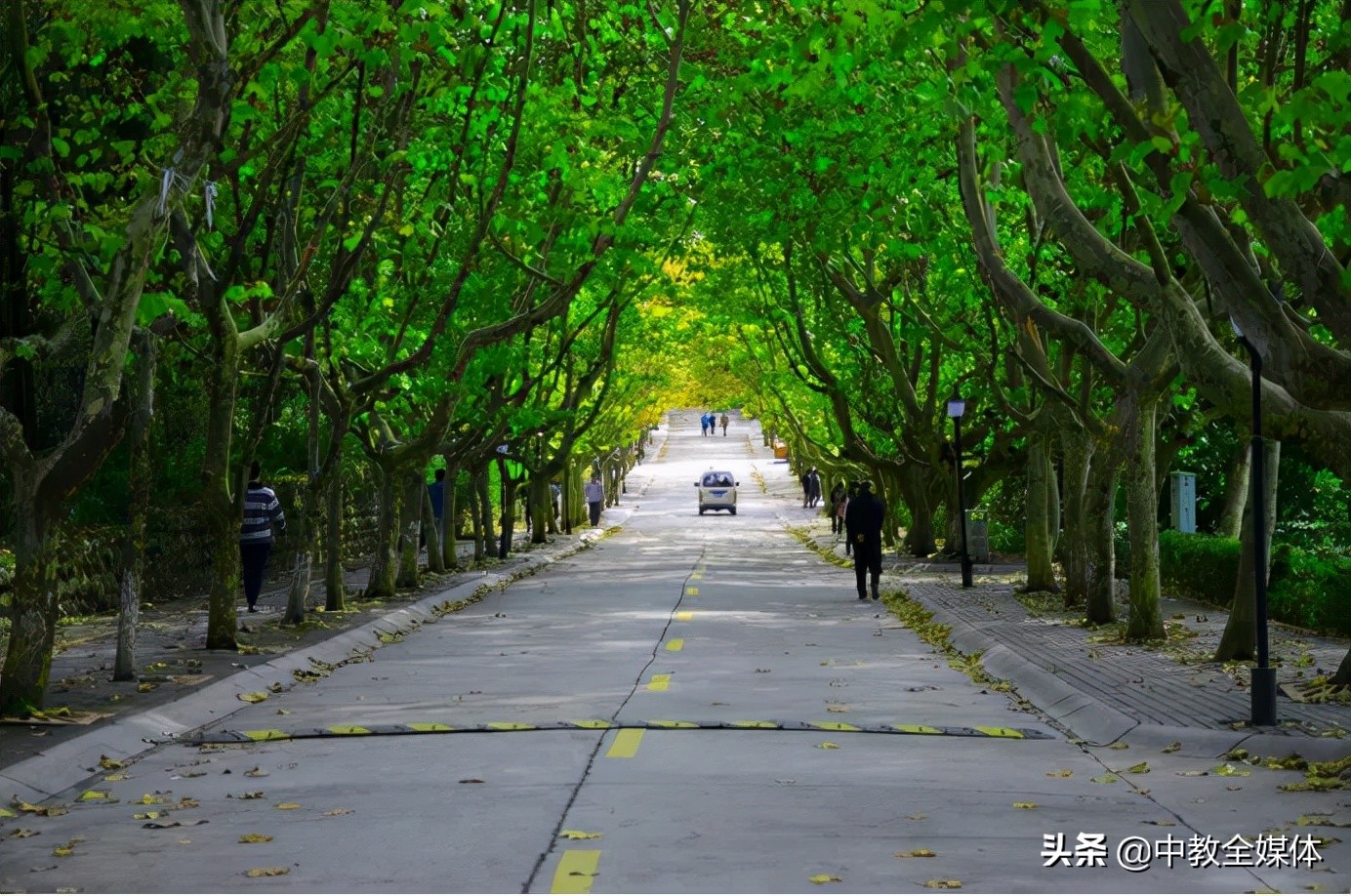 西南科大计算机科学与技术学院院长范勇：致力培养卓越工程型人才