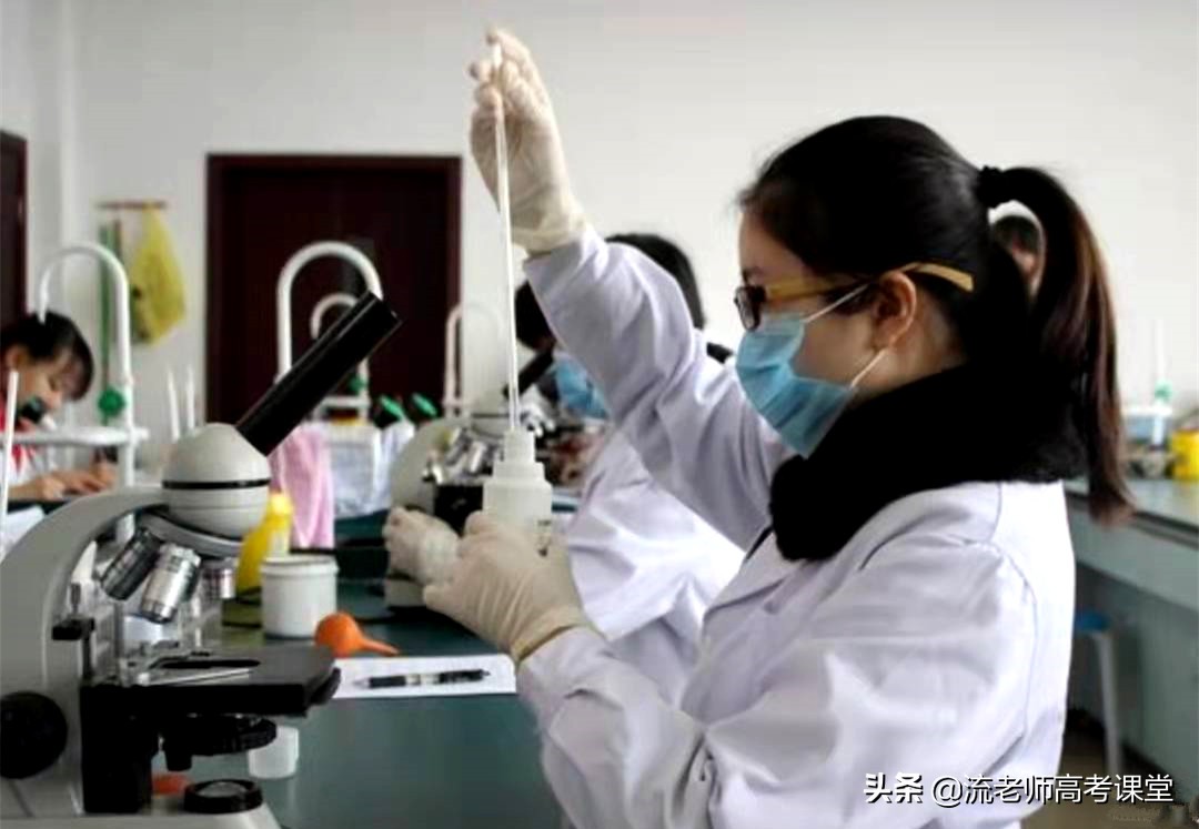 医学生就业好吗？重点高校和普通院校就业的差距，家长表示不理解