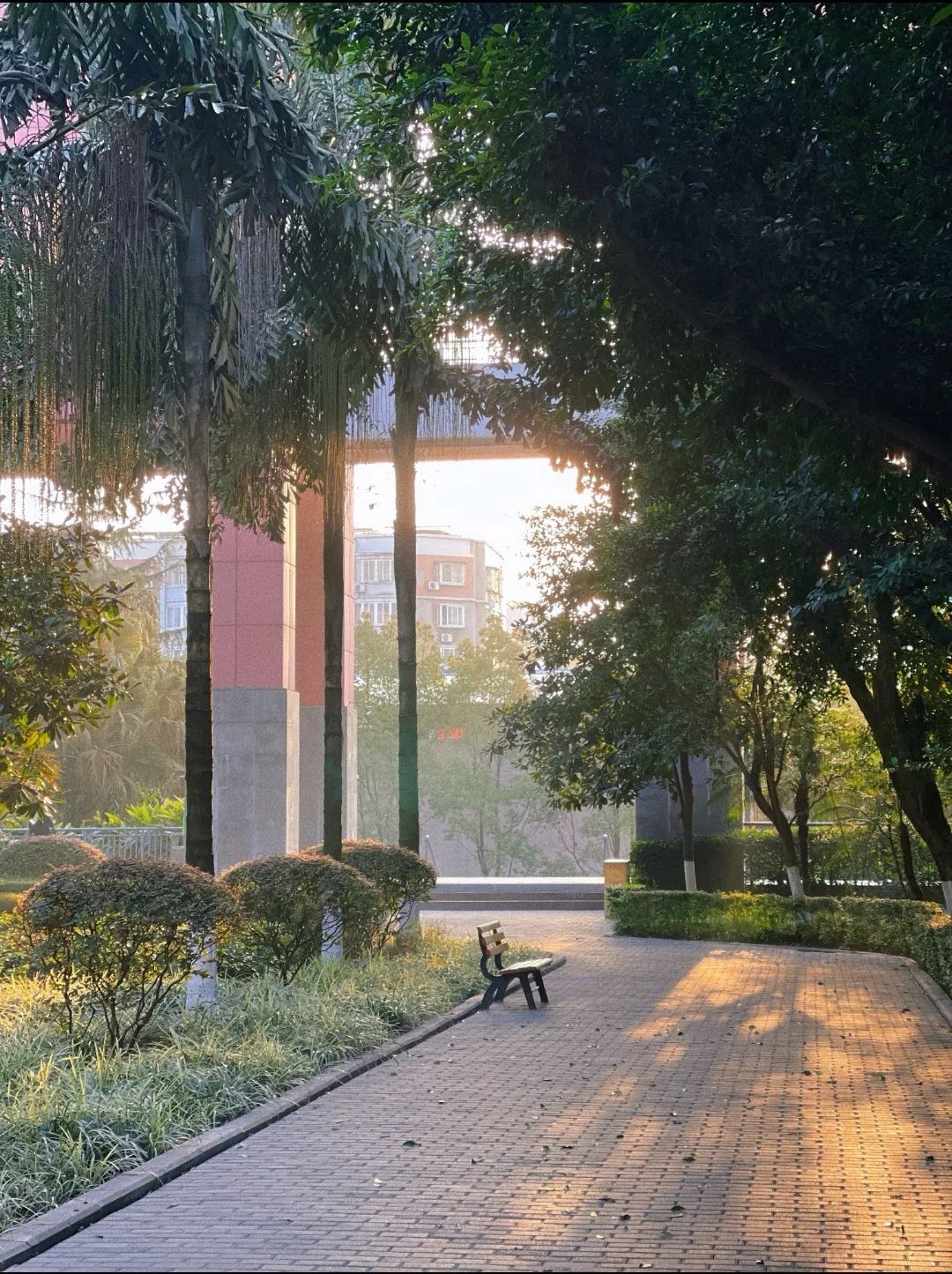 师资“高配”！就业广阔！重庆3位保研学霸，硬核安利“宝藏”专业！