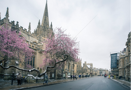 在牛津和斯坦佛留学，是什么体验？卫星云图看学校的构造